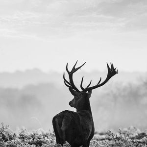 Meet your Posher, Bjorn